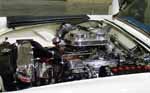 56 Thunderbird V8 Dual Quads